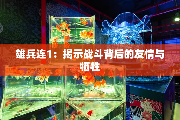 雄兵连1：揭示战斗背后的友情与牺牲