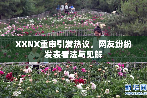 XXNX重审引发热议，网友纷纷发表看法与见解