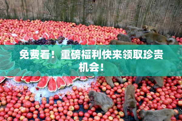 免费看！重磅福利快来领取珍贵机会！