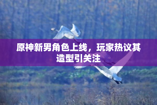 原神新男角色上线，玩家热议其造型引关注