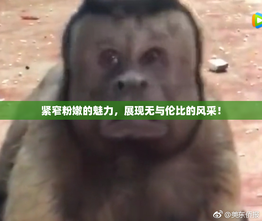 紧窄粉嫩的魅力，展现无与伦比的风采！