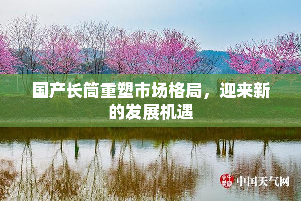 国产长筒重塑市场格局，迎来新的发展机遇