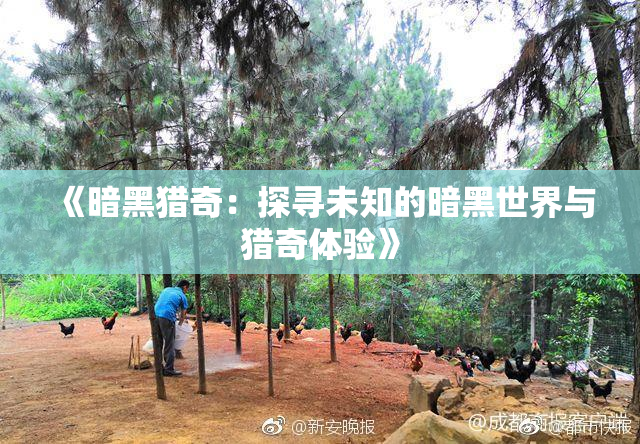 《暗黑猎奇：探寻未知的暗黑世界与猎奇体验》