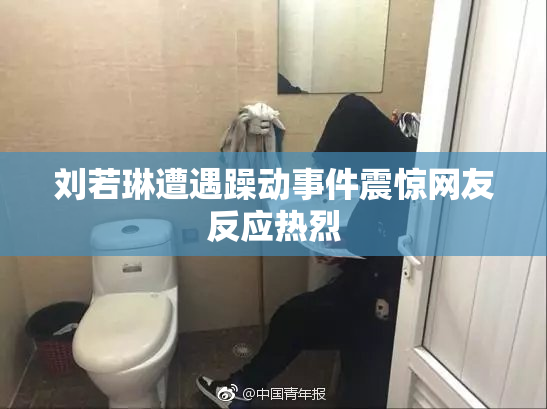 刘若琳遭遇躁动事件震惊网友反应热烈