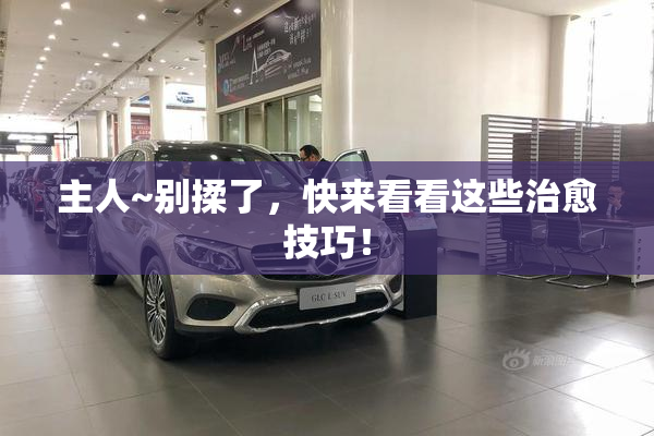 主人~别揉了，快来看看这些治愈技巧！