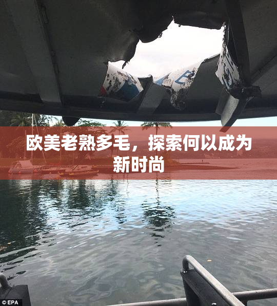 欧美老熟多毛，探索何以成为新时尚