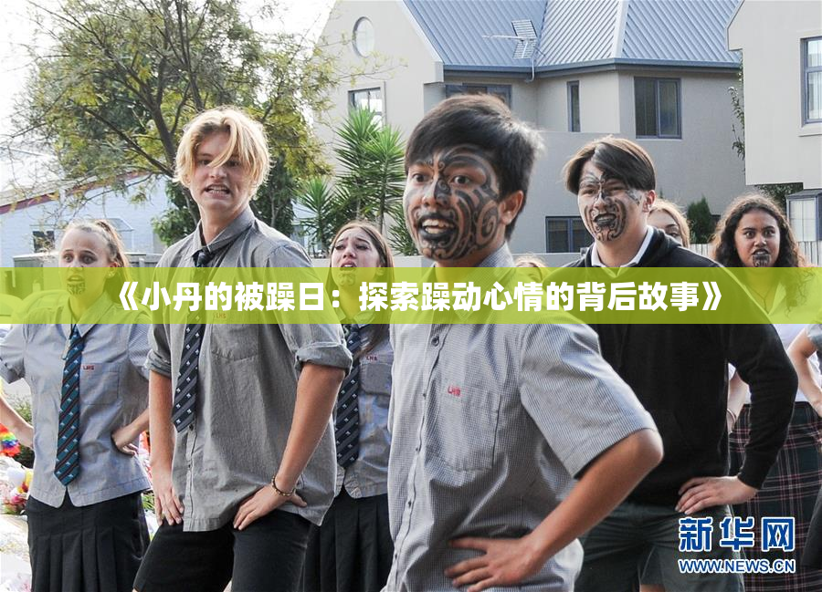 《小丹的被躁日：探索躁动心情的背后故事》