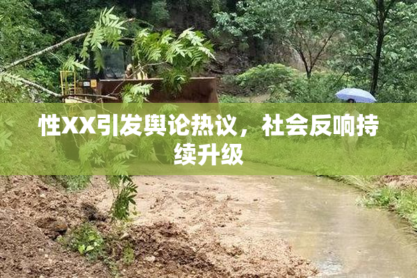性XX引发舆论热议，社会反响持续升级