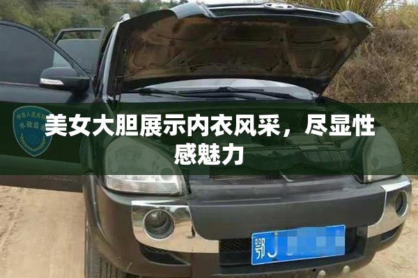 美女大胆展示内衣风采，尽显性感魅力
