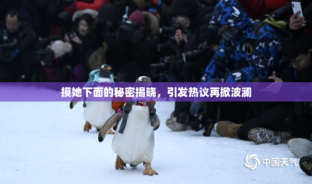 摸她下面的秘密揭晓，引发热议再掀波澜