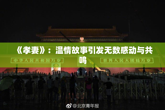 《孝妻》：温情故事引发无数感动与共鸣