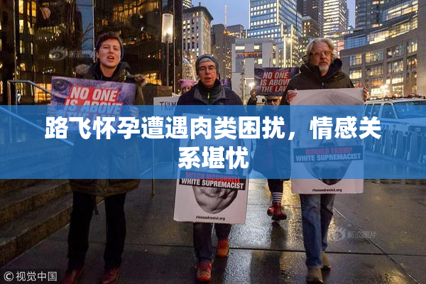 路飞怀孕遭遇肉类困扰，情感关系堪忧