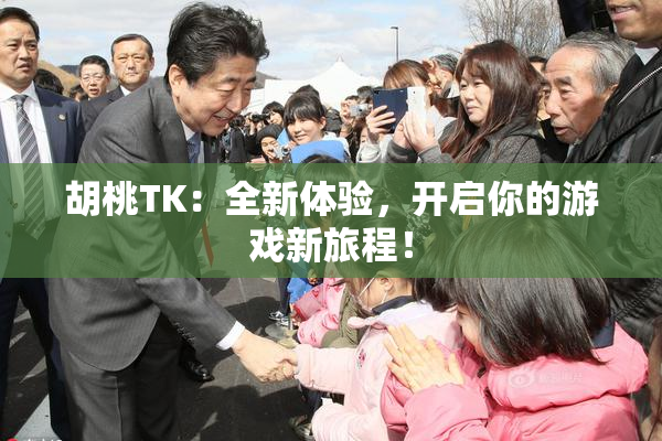 胡桃TK：全新体验，开启你的游戏新旅程！