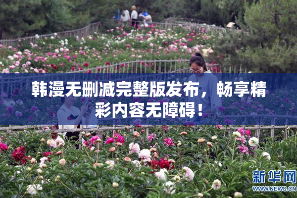 韩漫无删减完整版发布，畅享精彩内容无障碍！