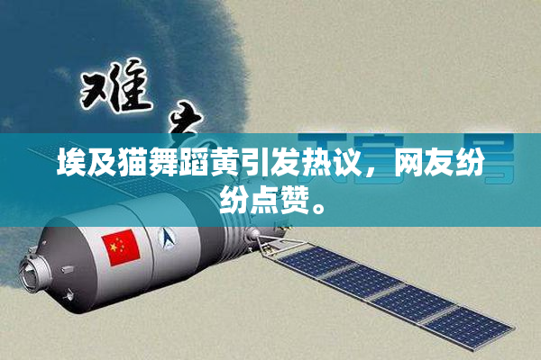 埃及猫舞蹈黄引发热议，网友纷纷点赞。