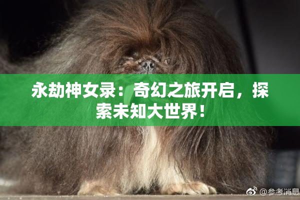 永劫神女录：奇幻之旅开启，探索未知大世界！