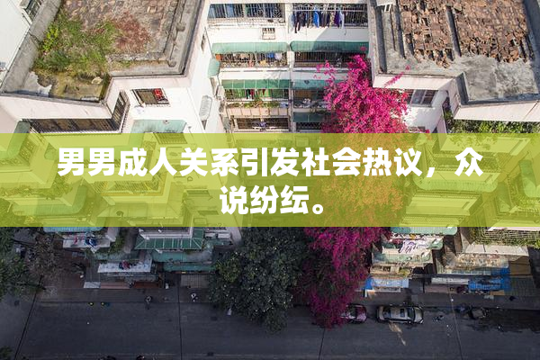 男男成人关系引发社会热议，众说纷纭。