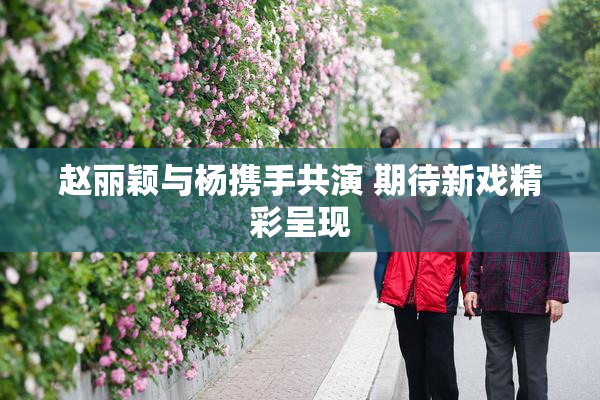赵丽颖与杨携手共演 期待新戏精彩呈现