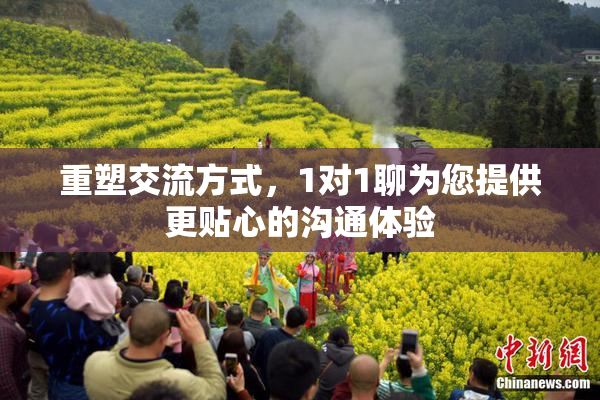 重塑交流方式，1对1聊为您提供更贴心的沟通体验
