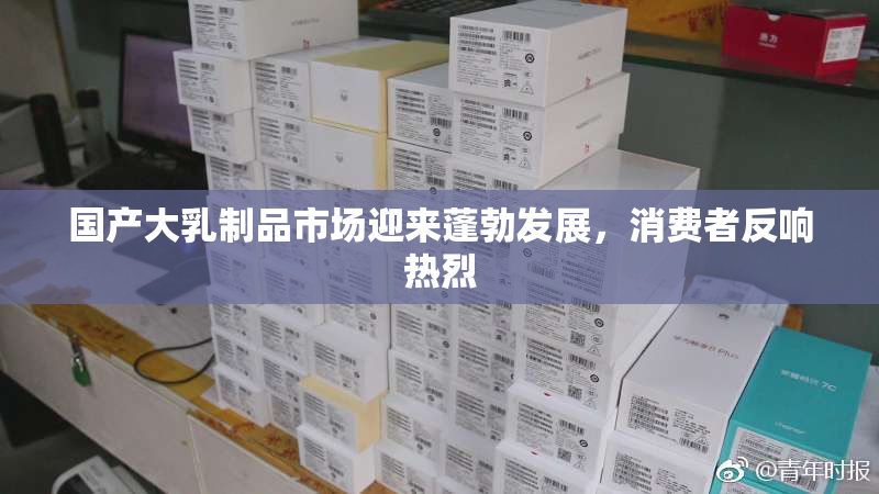 国产大乳制品市场迎来蓬勃发展，消费者反响热烈