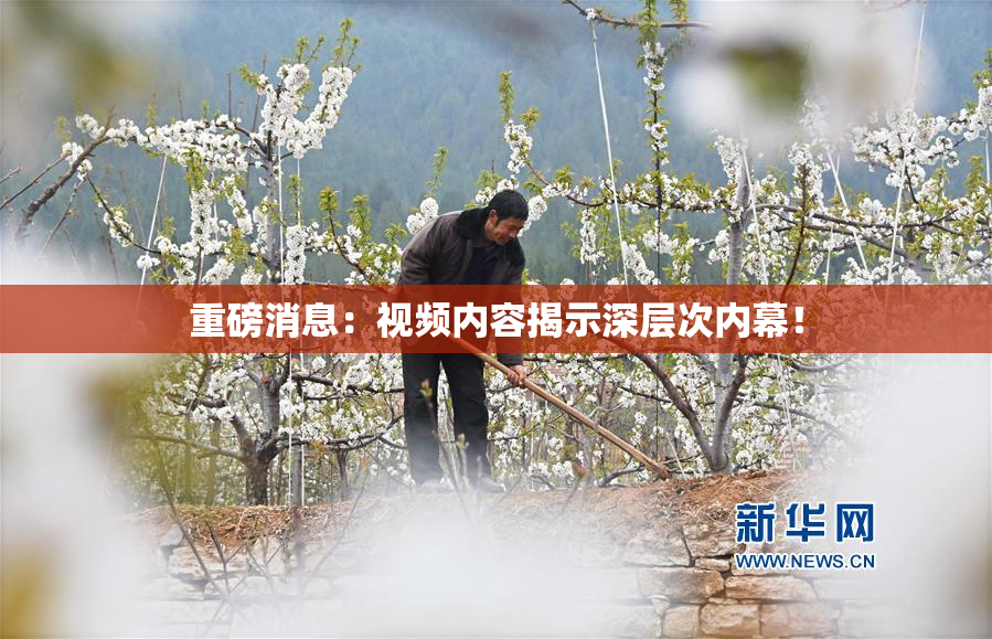 重磅消息：视频内容揭示深层次内幕！