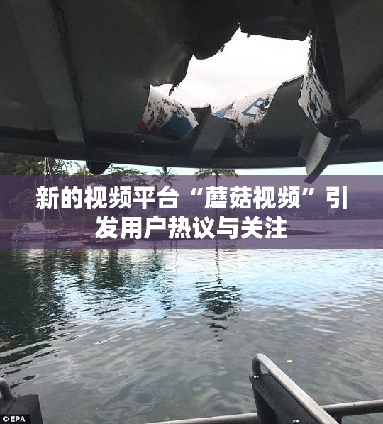 新的视频平台“蘑菇视频”引发用户热议与关注