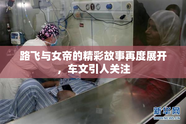 路飞与女帝的精彩故事再度展开，车文引人关注