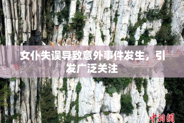 女仆失误导致意外事件发生，引发广泛关注