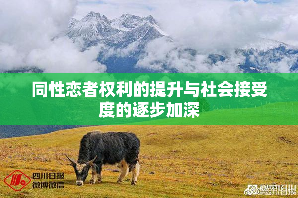 同性恋者权利的提升与社会接受度的逐步加深