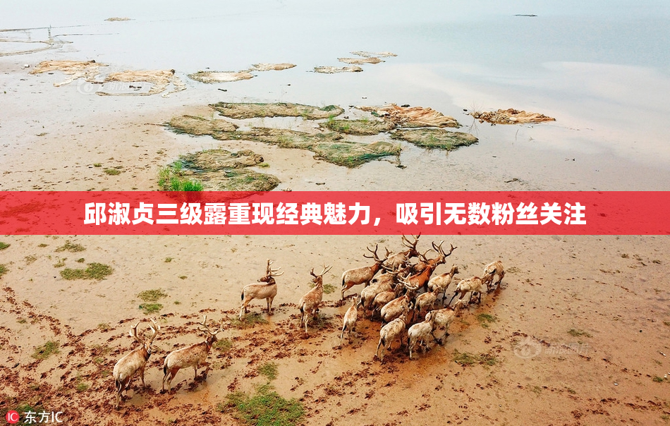 邱淑贞三级露重现经典魅力，吸引无数粉丝关注
