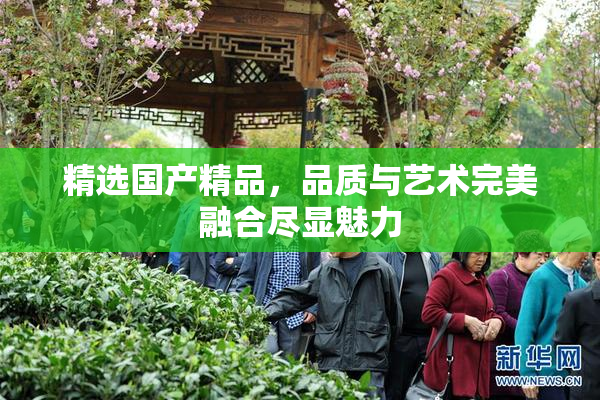 精选国产精品，品质与艺术完美融合尽显魅力