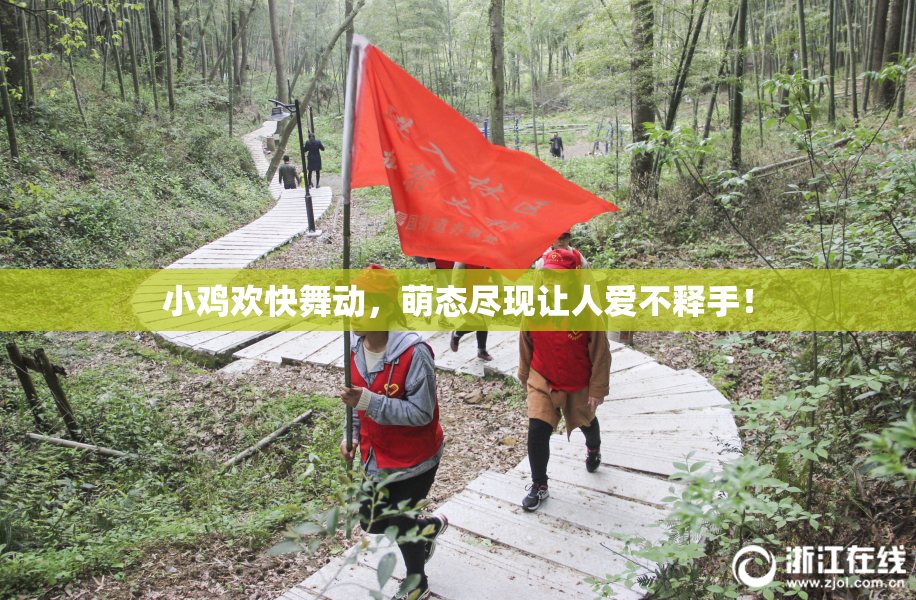 小鸡欢快舞动，萌态尽现让人爱不释手！