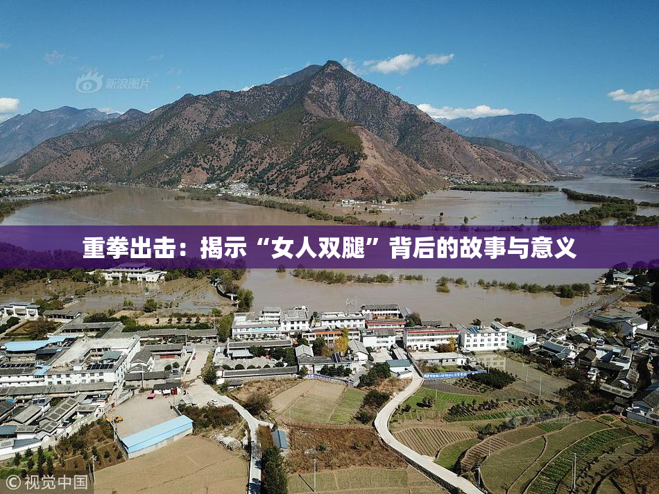 重拳出击：揭示“女人双腿”背后的故事与意义