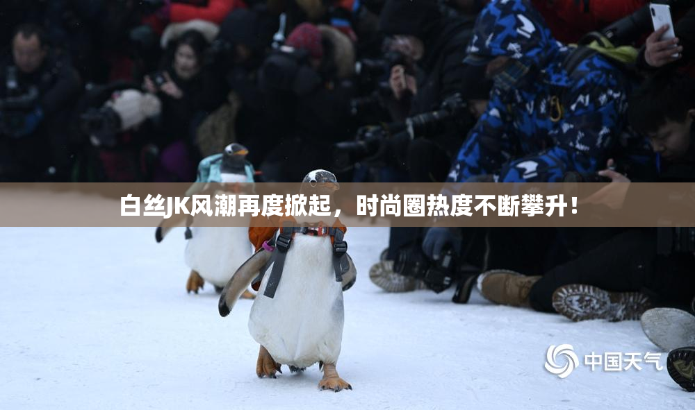 白丝JK风潮再度掀起，时尚圈热度不断攀升！