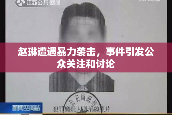 赵琳遭遇暴力袭击，事件引发公众关注和讨论