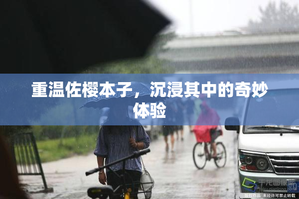重温佐樱本子，沉浸其中的奇妙体验