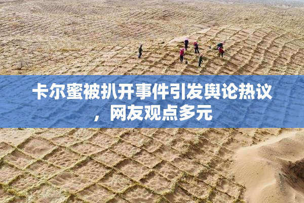 卡尔蜜被扒开事件引发舆论热议，网友观点多元