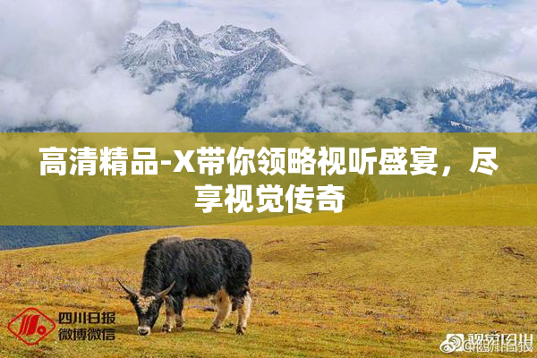 高清精品-X带你领略视听盛宴，尽享视觉传奇