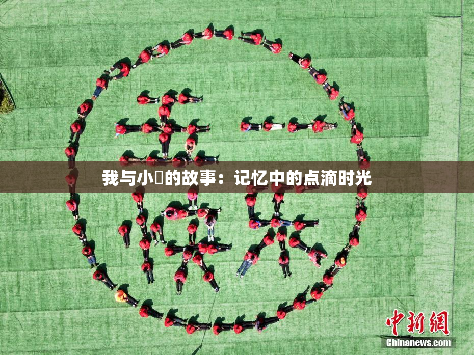 我与小娻的故事：记忆中的点滴时光