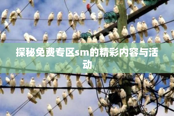 探秘免费专区sm的精彩内容与活动