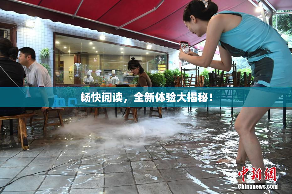 畅快阅读，全新体验大揭秘！