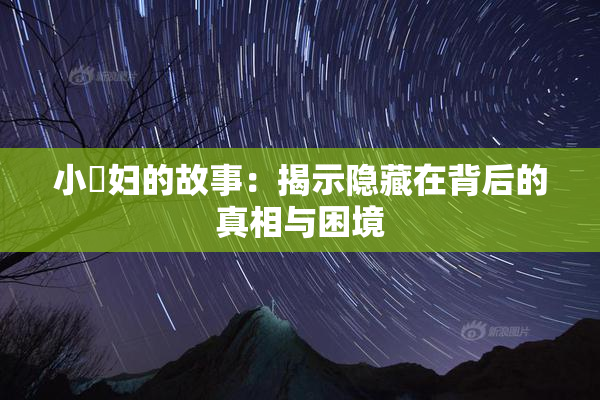 小婬妇的故事：揭示隐藏在背后的真相与困境