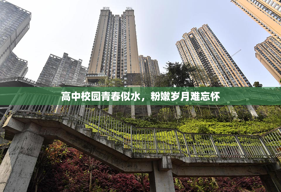 高中校园青春似水，粉嫩岁月难忘怀