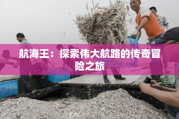 航海王：探索伟大航路的传奇冒险之旅
