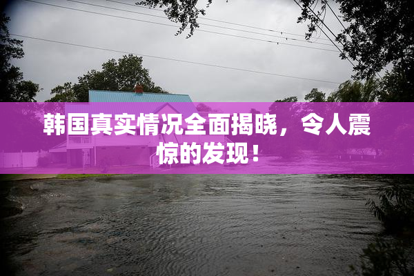 韩国真实情况全面揭晓，令人震惊的发现！