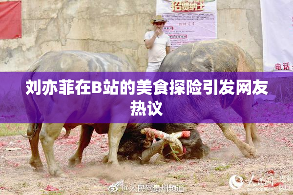 刘亦菲在B站的美食探险引发网友热议