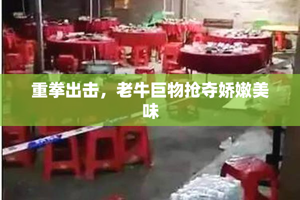 重拳出击，老牛巨物抢夺娇嫩美味
