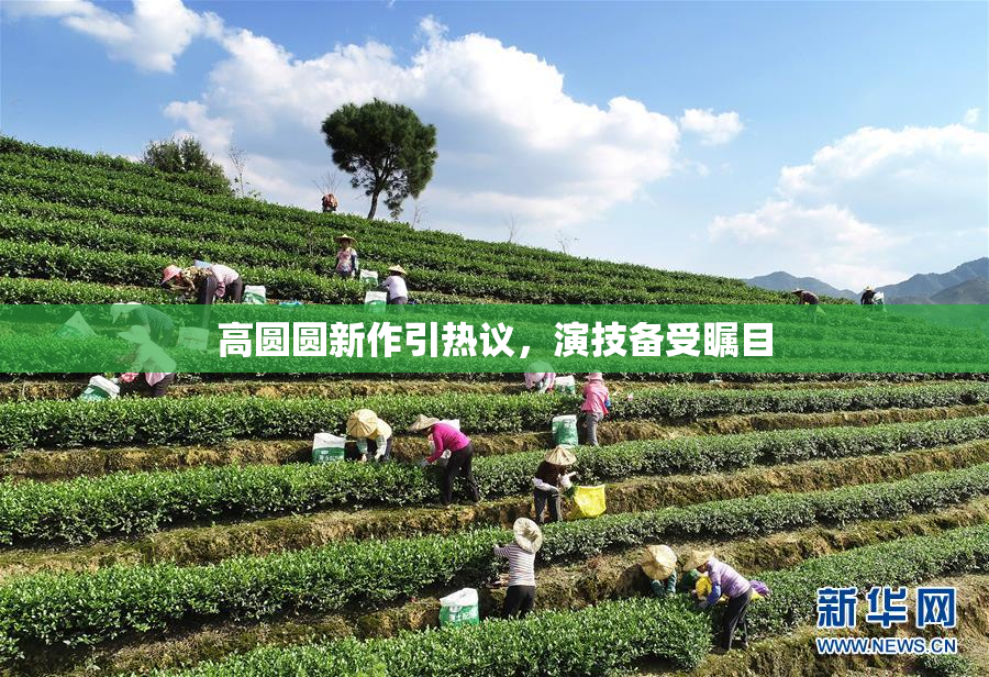 高圆圆新作引热议，演技备受瞩目