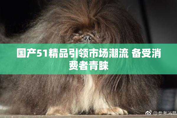 国产51精品引领市场潮流 备受消费者青睐
