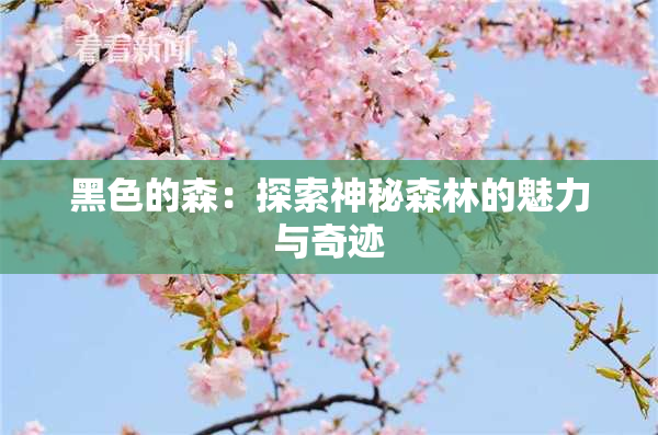 黑色的森：探索神秘森林的魅力与奇迹